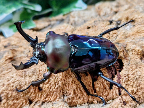 2026.1.6.新入荷!!