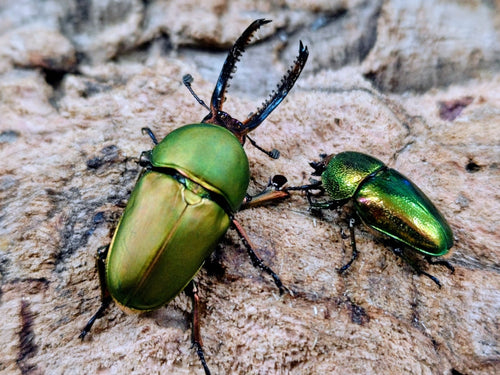 2026.3.8.新入荷!!