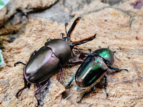 2026.3.23.新入荷!!