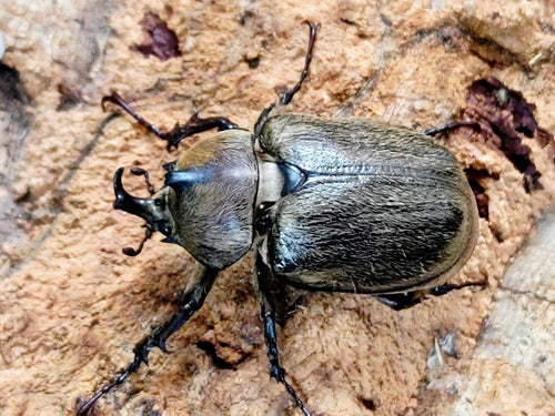 2026.4.3.新入荷!!