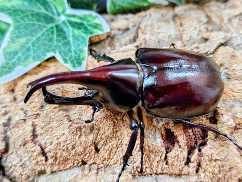 2026.4.4.新入荷!!