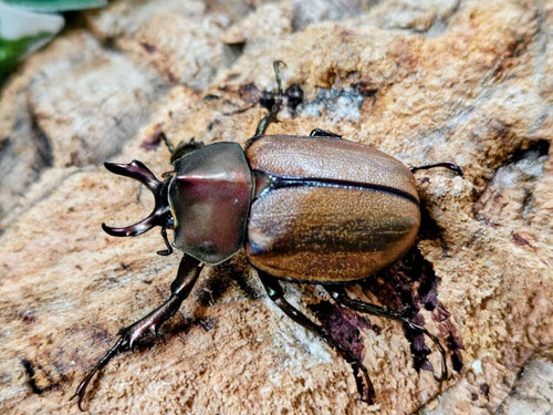 2026.4.5.新入荷!!