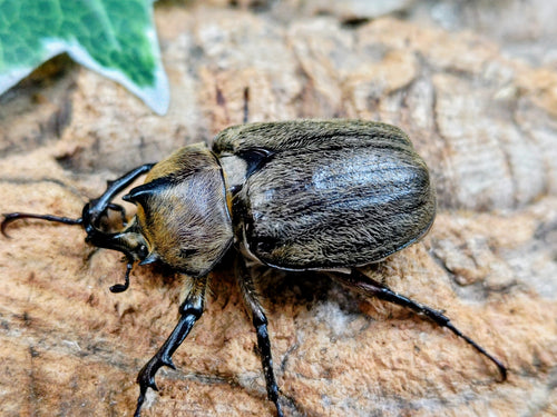 2026.4.12.新入荷!!