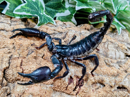 2026.4.14.新入荷!!