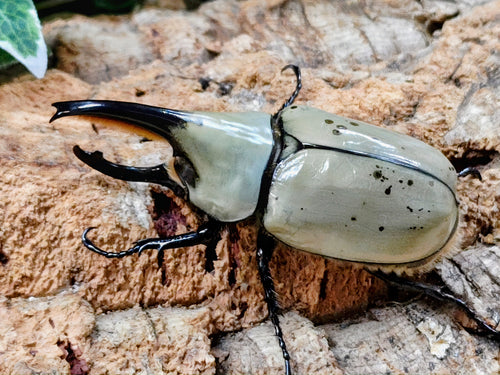 2026.4.16.新入荷!!