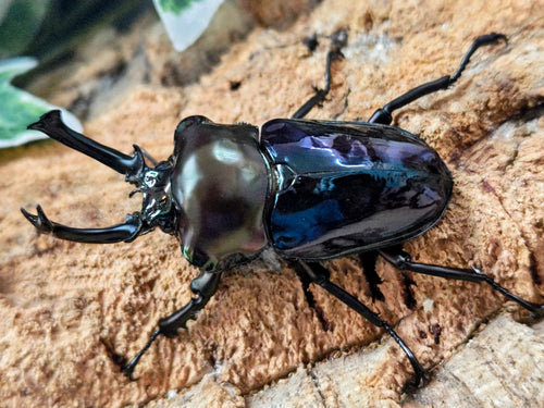 2026.4.18.新入荷!!