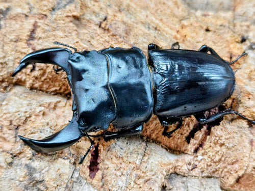 2026.4.23.新入荷!!