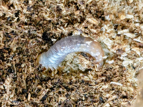 2026.4.24.新入荷!!