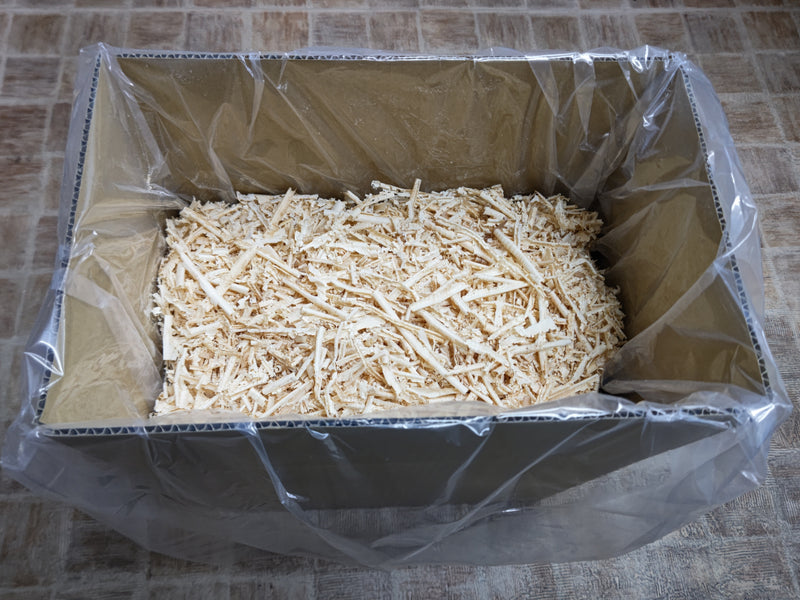 2022.11.23.新入荷!!