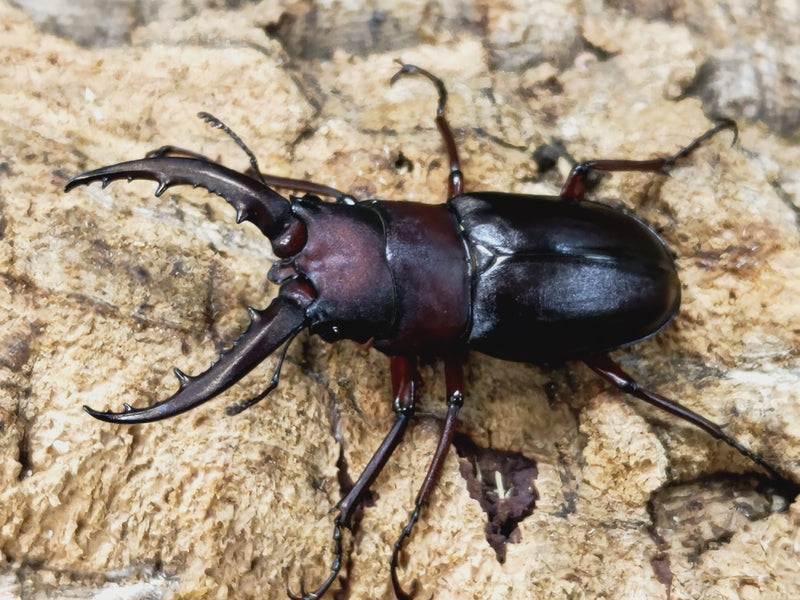 2023.10.21.新入荷!!