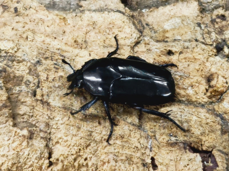 2023.7.27.新入荷!!