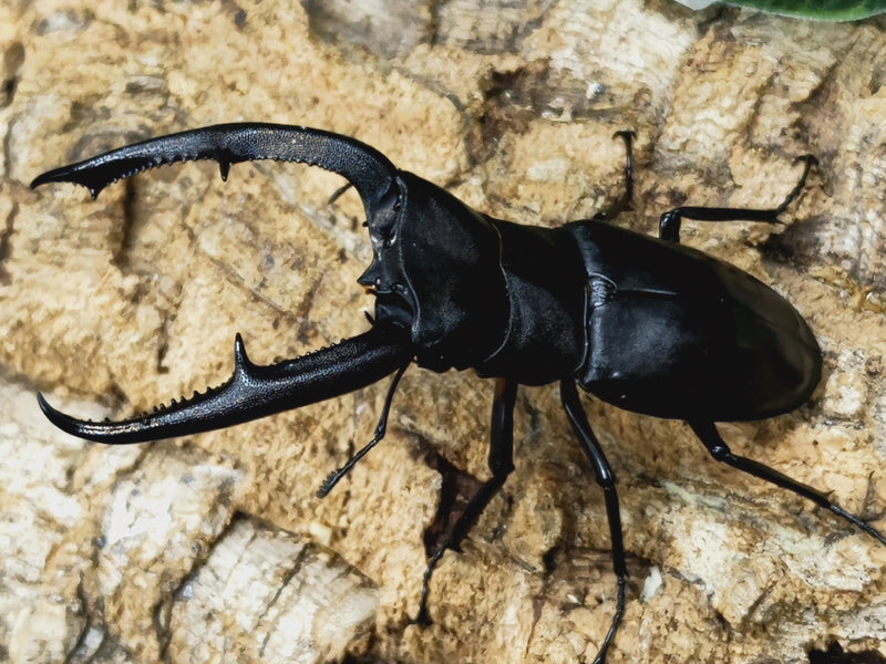 2023.8.26.新入荷!!