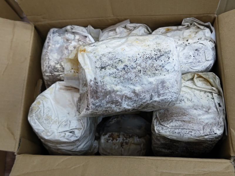 2023.4.18.新入荷!!