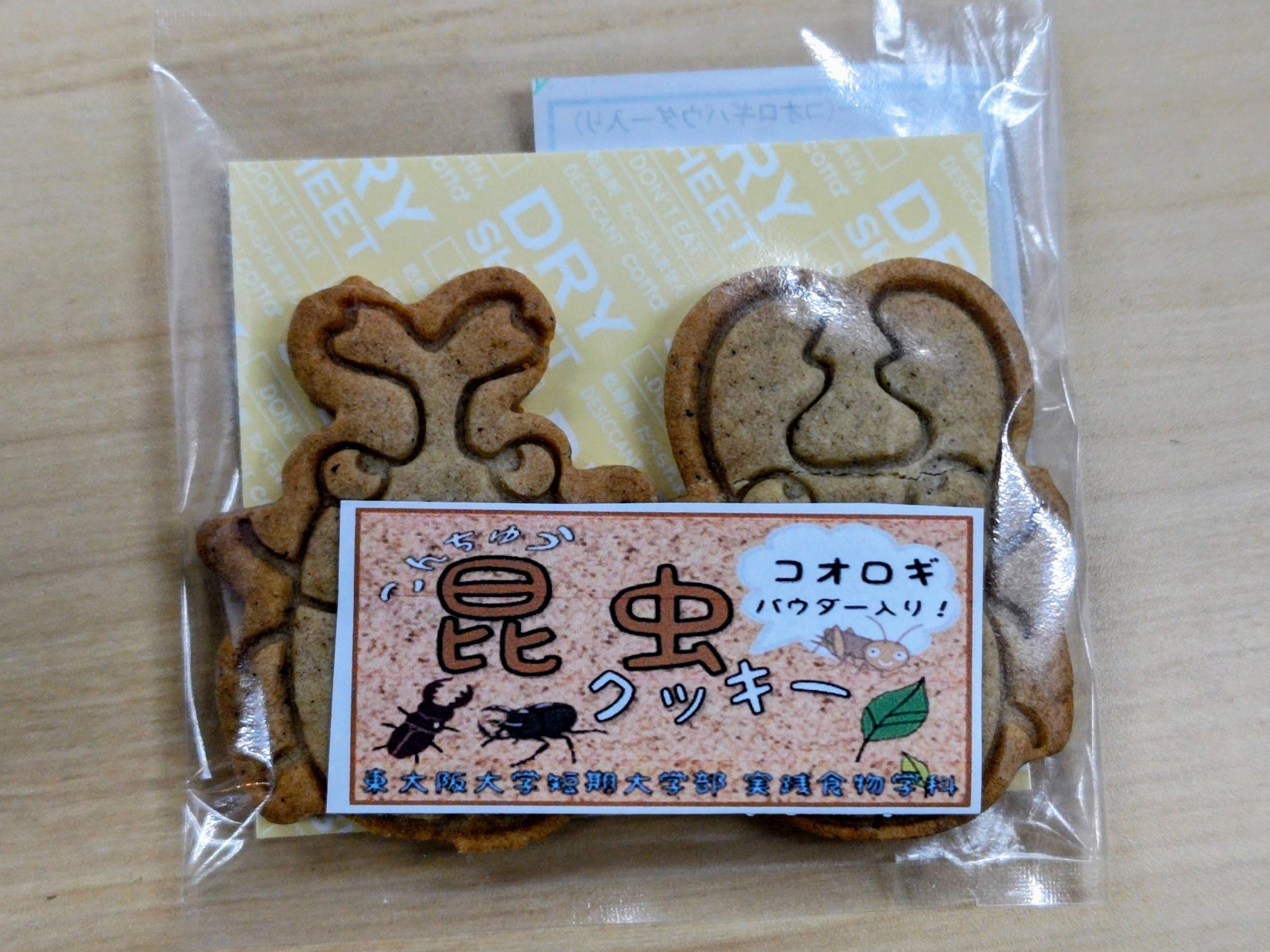 イベント情報 – クワガタムシ・カブトムシ昆虫専門店COLORS
