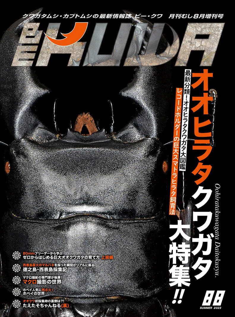 極稀少 BE-KUWA ビークワ No.4秋号 2002 オオクワガタ 月刊むし - 雑誌