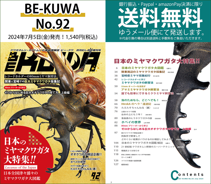 くわがたマガジン 44冊セット 【公式通販】 くわがたマガジン 44冊セット 【公式通販】