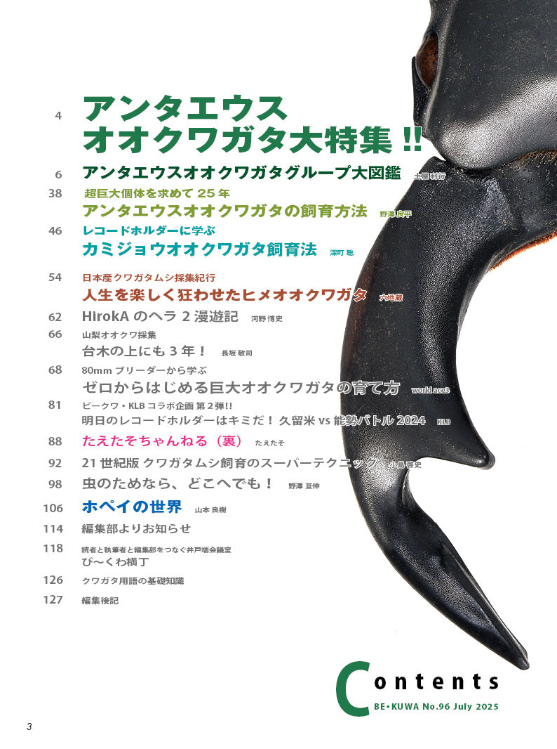 ビークワ1 ビークワ77号（BE・KUWA） 第20回 クワガタ飼育レコード