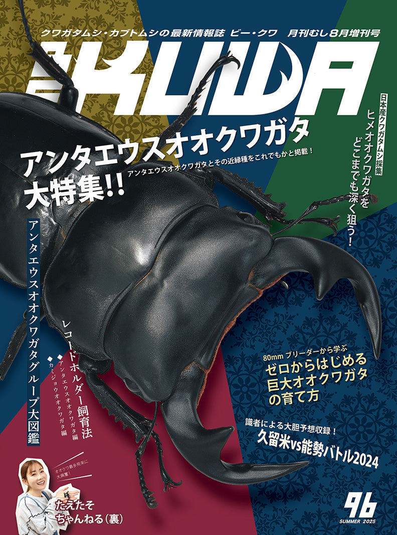 書籍 – クワガタムシ・カブトムシ昆虫専門店COLORS