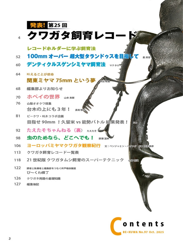 kogumaページ CONVERSE ALL STAR BOARDERSTAR OX / SHINYAKOZUKA｜BILLY'S ENT