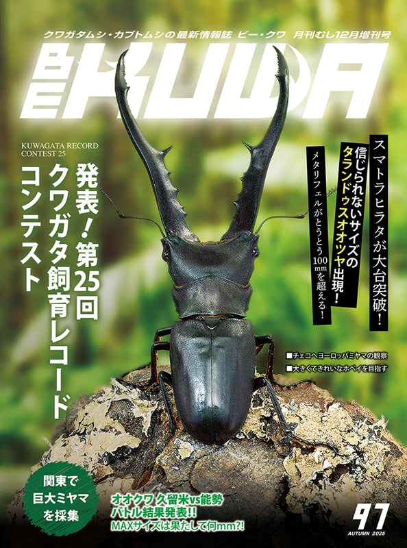 【予約受付中】BE-KUWA　No.97