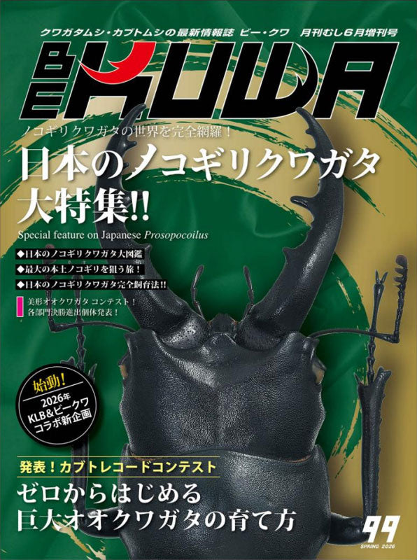 BE-KUWA 雑誌 5冊セット クワガタ カブトムシ、ヘラクレスカブト BE