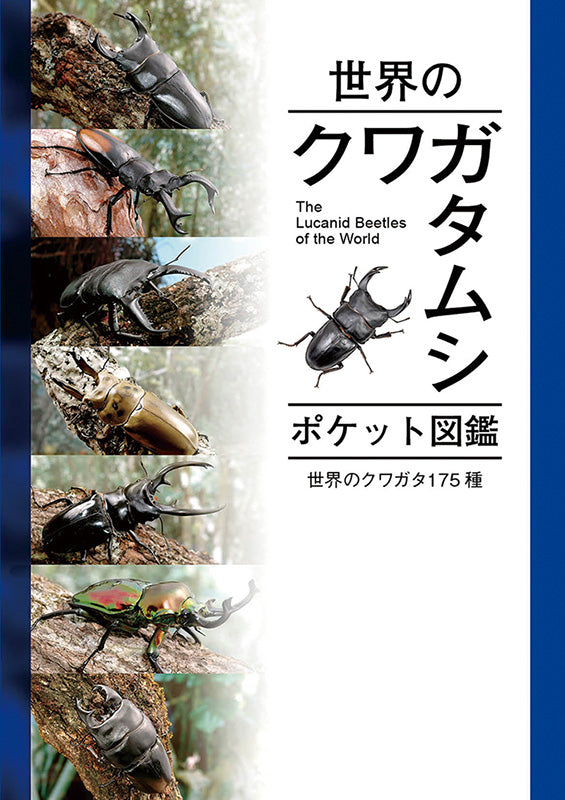 04151507_62590b9b4b3f1_565x.
