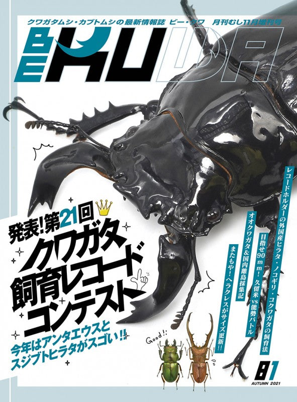 Amazon.co.jp: カロラータ クワガタムシ 立体図鑑 (7種 / 解説書