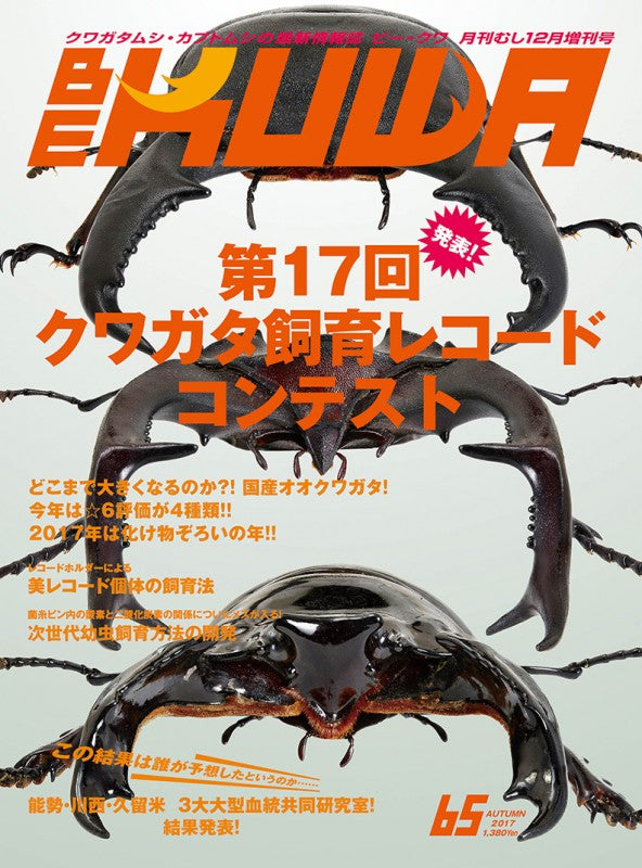 Amazon.co.jp: カロラータ クワガタムシ 立体図鑑 (7種 / 解説書