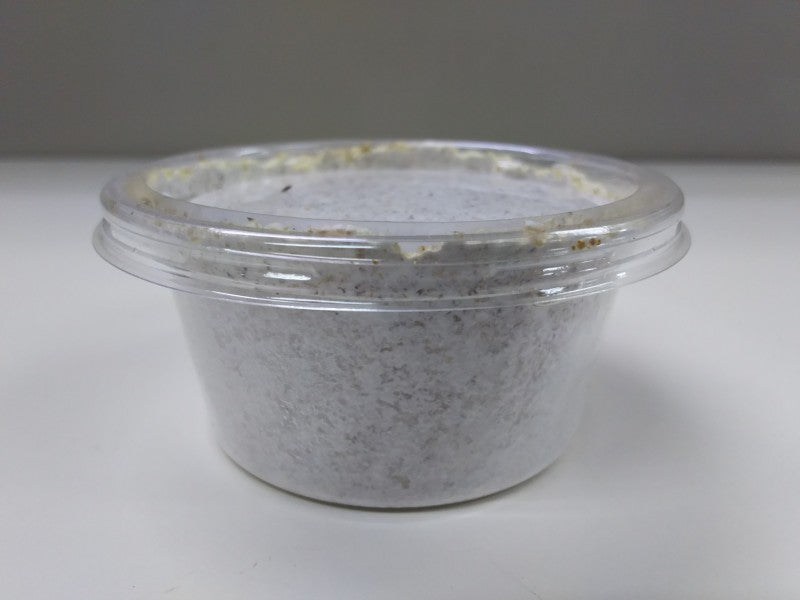 ヒラタケ菌糸 120cc カップ – クワガタムシ・カブトムシ昆虫専門店COLORS