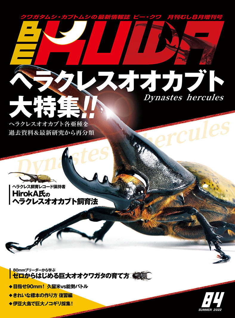 商品 – クワガタムシ・カブトムシ昆虫専門店COLORS
